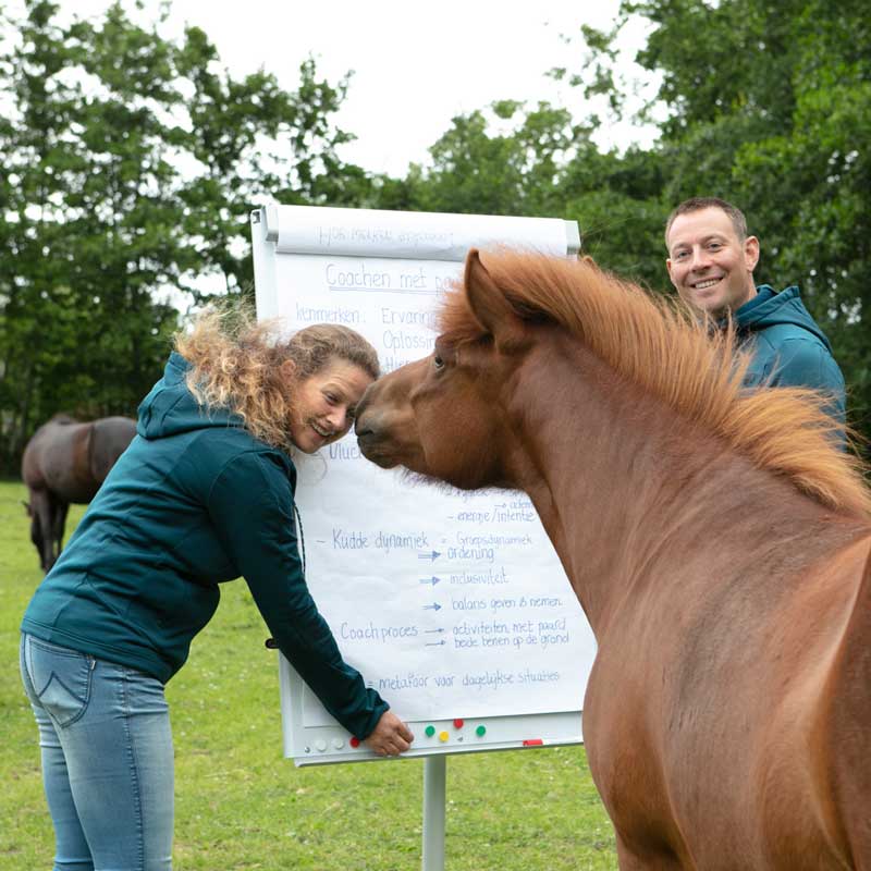 Rolinka van Markus & Merijn de Jonge