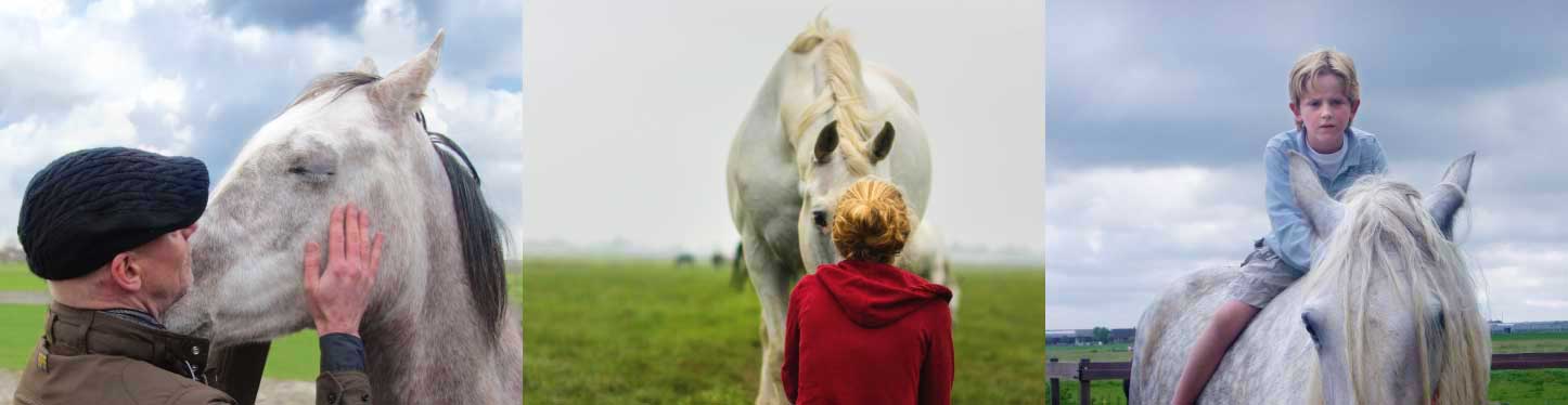 opleiding equine assisted coach