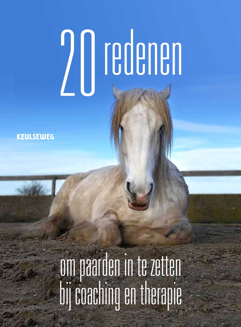 20 redenen
