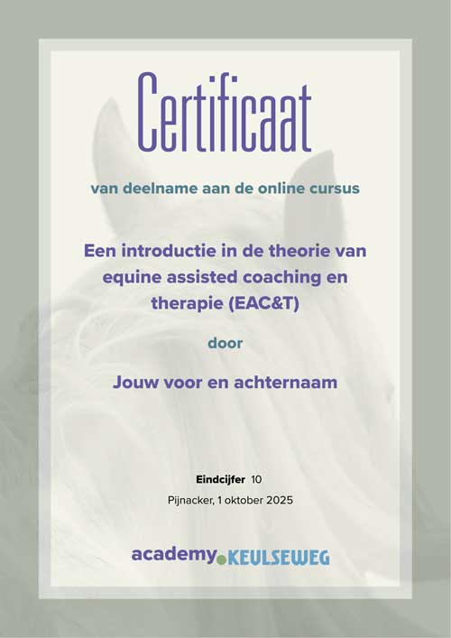 certificaat