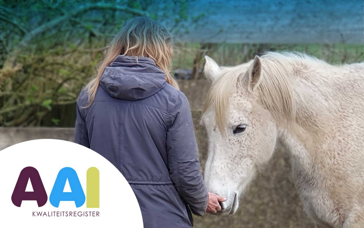 AAI-kwaliteitsregister
