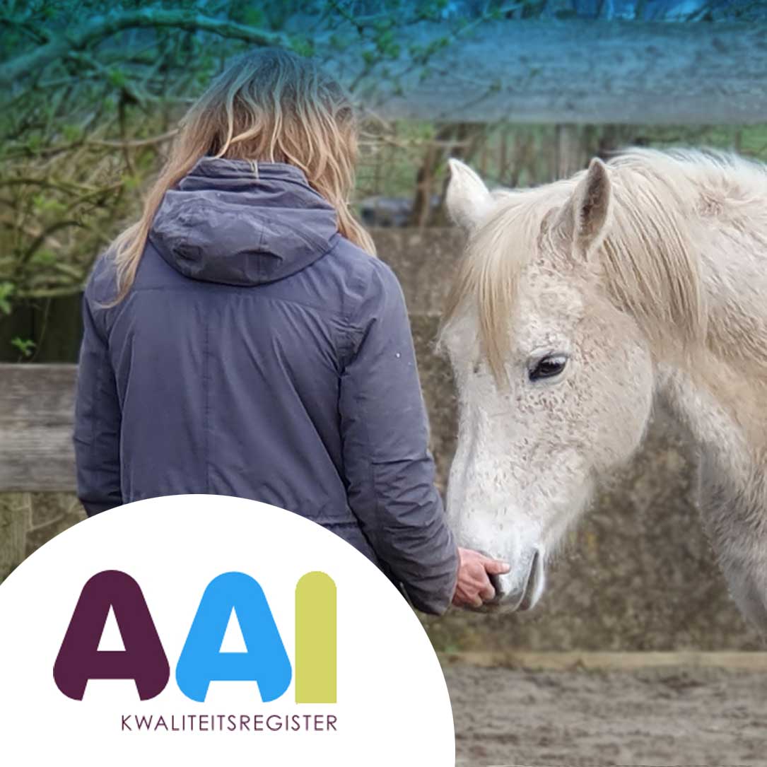 AAI-kwaliteitsregister